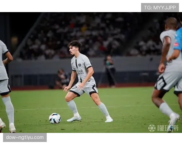 维蒂尼亚是否依赖体系？战术角色与独立贡献解析