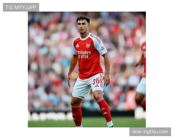 祖比门迪中场核心潜力与顶级联赛适配性分析